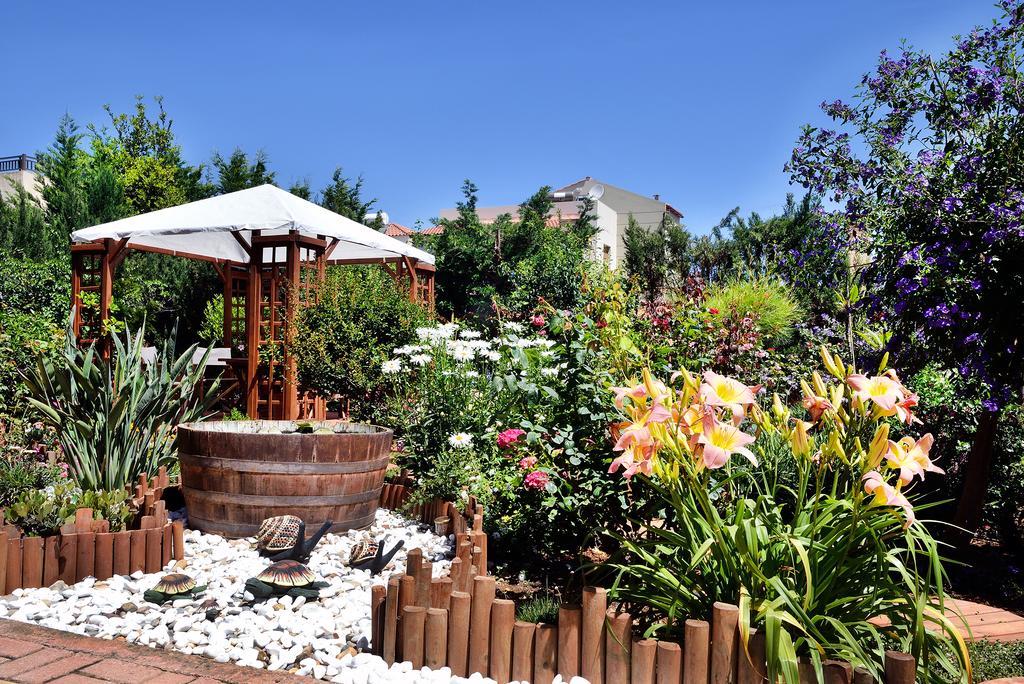 Daire Stamatakis Boutique Platanés